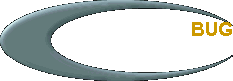  BUG
 