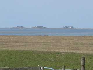 View to Hallig Langeness