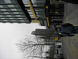 DSC00065.JPG