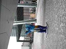 DSC00118.JPG