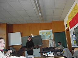 DSC00217.JPG