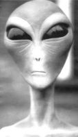 Alien aus Area51