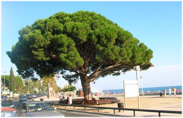 CAMBRILS-2.jpg