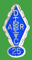 Pin ALEMANIA - DARC - 25 Aos de permanencia