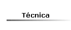 Tcnica