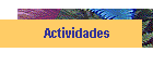 Actividades