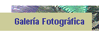 Galer�a Fotogr�fica