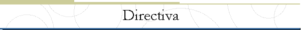 Directiva