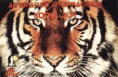 Tigre.jpg (4716 bytes)