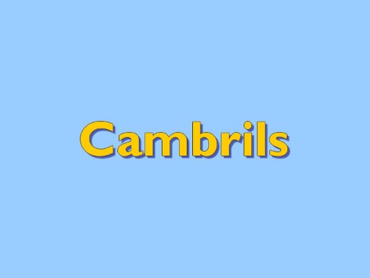 TITOL CAMBRILS-1.jpg