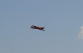 03102009-BARCELONA RED BULL AIR RACE-AVIO HISTORIC-7.JPG