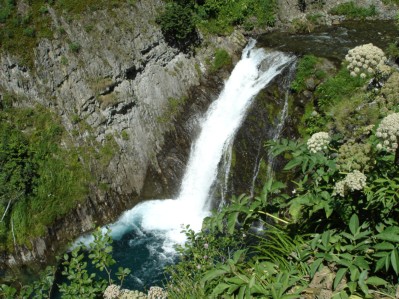 12082005-SAUT DETH PISH-8.JPG