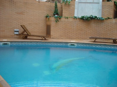 15072006-APARTHOTEL LOS GIRASOLES-PISCINA-1.JPG