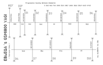 dl6wu yagi design program