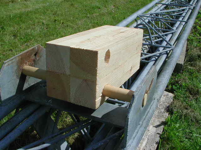 stem