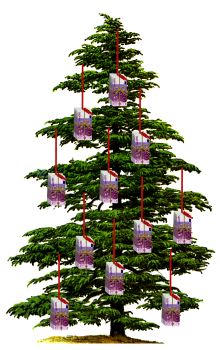 gimp_sap2.png