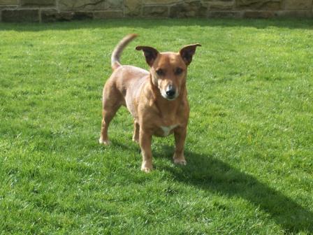 Toby 2002