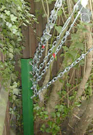 Newguys.JPG (121655 bytes)