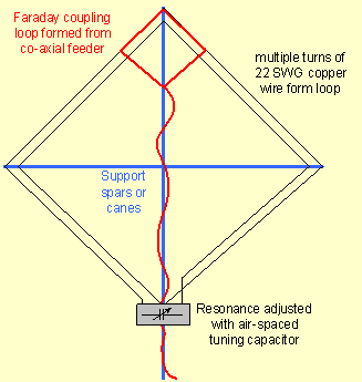 Schematic of the multi-turned loop