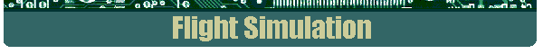 Flight Simulation