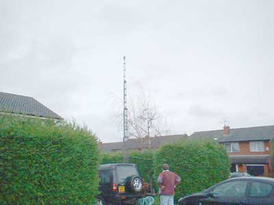 The neighbours didn't notice Adrian's new tree...