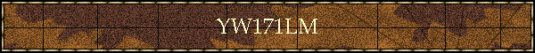 YW171LM