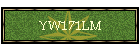 YW171LM