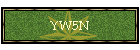YW5N
