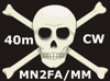pirate flag
