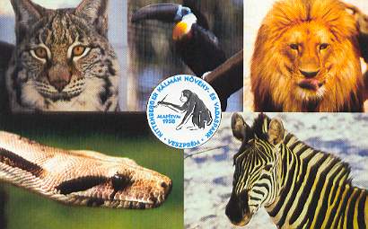 zoo_qsl