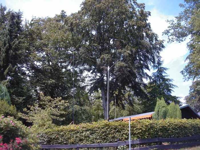 06 Rotari dipole and Delta-loop