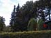 14 Multiband dipole in the vorground
