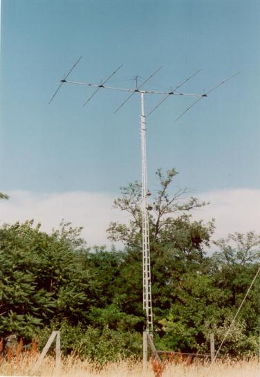 ant4