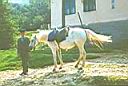 rm_005.jpg