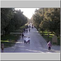 PICT5202.jpg