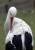 Thumbnail of _DSC0104.jpg