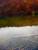Thumbnail of DSC10137.JPG