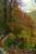 Thumbnail of DSC10144.JPG