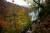Thumbnail of DSC10145.JPG