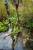 Thumbnail of DSC10149.JPG