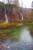 Thumbnail of DSC10153.JPG