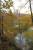 Thumbnail of DSC10161.JPG