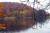 Thumbnail of DSC10164.JPG
