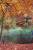 Thumbnail of DSC10165.JPG