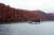 Thumbnail of DSC10167.JPG