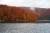 Thumbnail of DSC10169.JPG