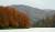 Thumbnail of DSC10178.JPG