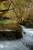 Thumbnail of DSC10195.JPG