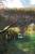 Thumbnail of DSC10200.JPG