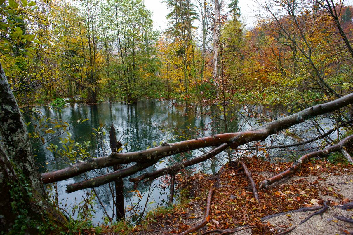 DSC10136.JPG